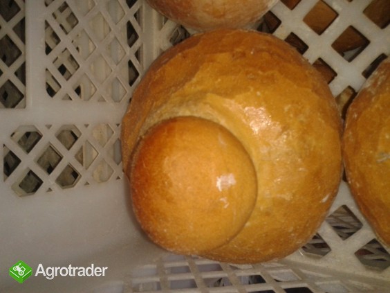 Kołacze, Makowce Chleb na naturalnym zakwasie - zdjęcie 3