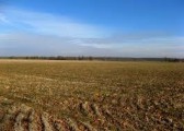 Grunty Rolne 18,5 ha, okolice Stargard Szczeciński