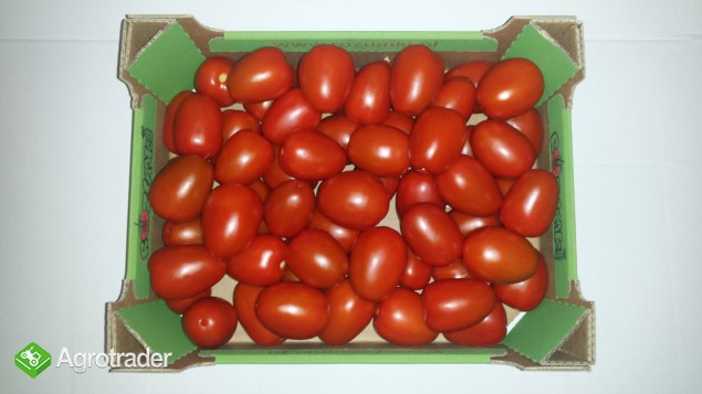 Sprzedam pomidory - zdjęcie 1