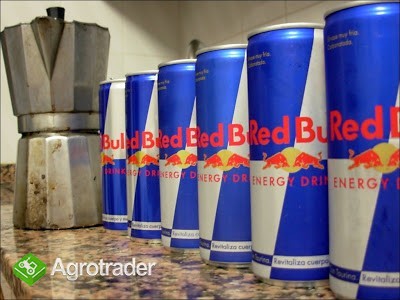 Red Bull Sugarfree Energy Drink 24x250ml - zdjęcie 1
