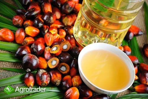Refined Palm Oil From Malaysia for Sale - zdjęcie 2