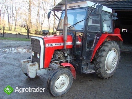 traktor ursus mf 255