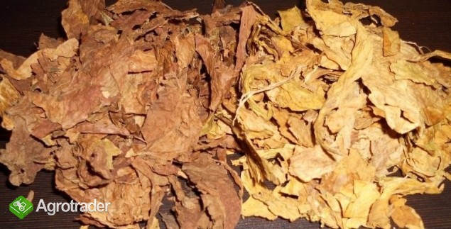 FERMENTACJA , PROFESJONALNE PRZYGOTOWANIE