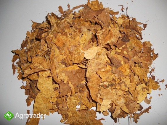 Strips blend mix 65%V 30%B 5%oriental hurt