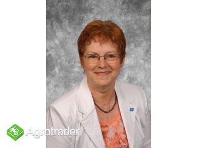 Darlehen bieten in 24 Stunden