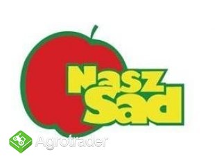 LIGOL,GLOSTER,JONAGOLDY,ELISA,SZAMPION,IDARED