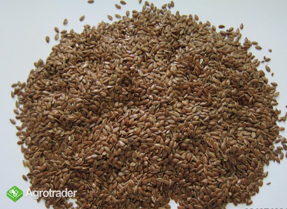 Sprzedam brązowe siemie lniane