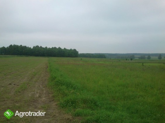 Do sprzedaży grunt rolny 1,78ha ok.Działoszyna