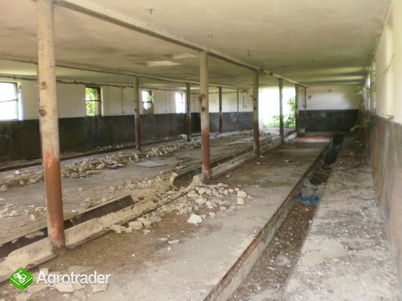 ŻARNOWIEC ŚLĄSKI sprzedam 11 ha - zdjęcie 4