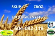 Skup zbóż EKOLOGICZNYCH