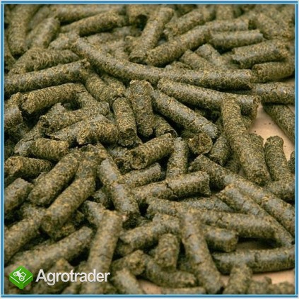 Prasa do tłoczenia oleju ślimakowa (pelleciarka,peleciarka) ze stacją 