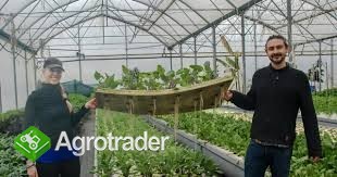 Wsparcie dla rolnictwa - zdjęcie 1