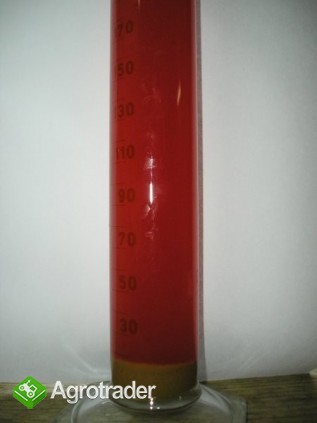 ekologiczny moszcz rabarbarowy