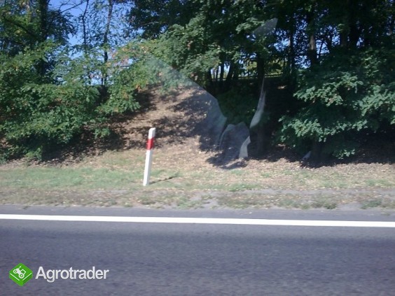 sprzedam siano tegoroczne tanio