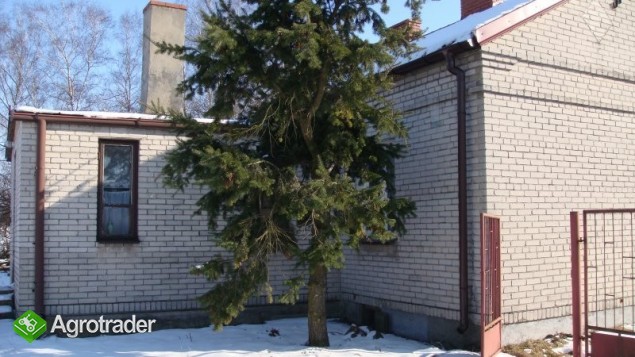 Gospodarstwo rolne 4,5ha - zdjęcie 3