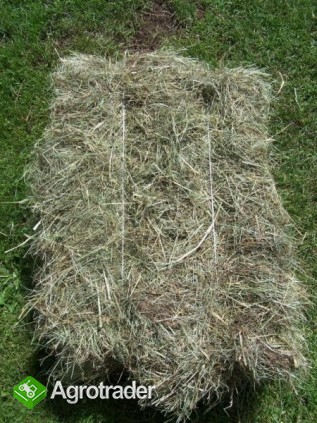 siano 1 pokos sierpien 2011