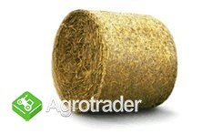 Kupię siano - każdą ilość